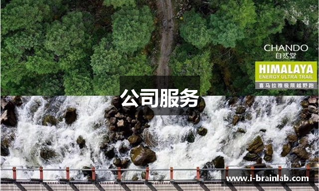 公司服务